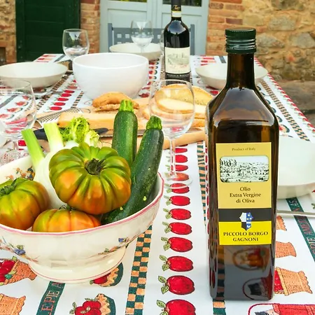 Piccolo Borgo Gagnoni